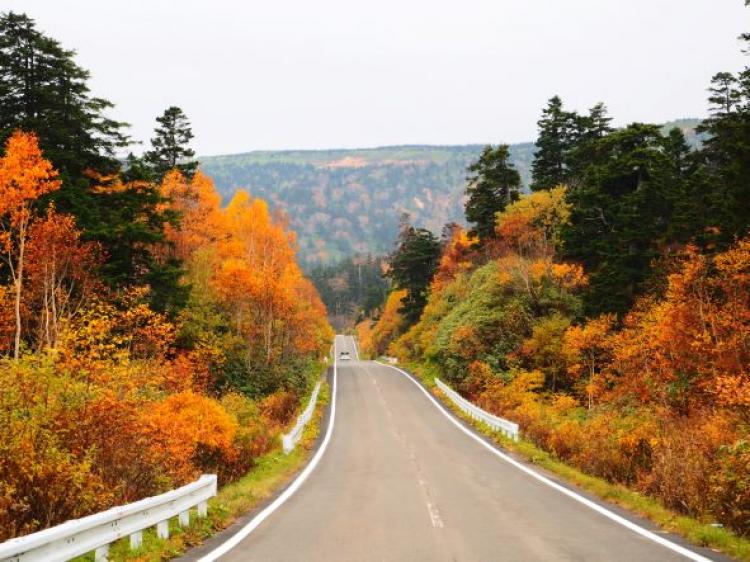 八幡平樹海ライン