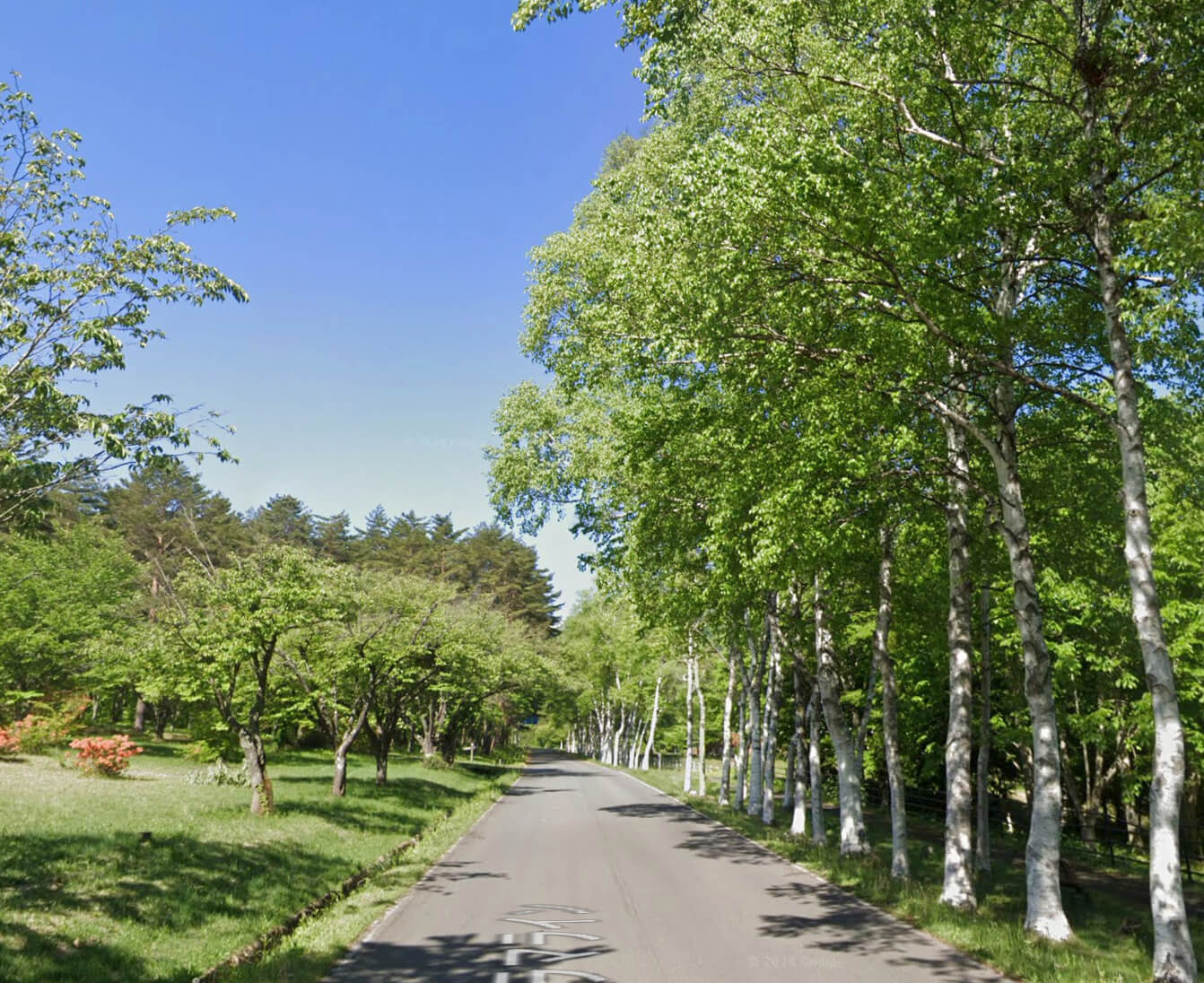 岩手山パノラマライン