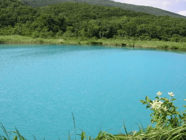 御在所沼・赤沼